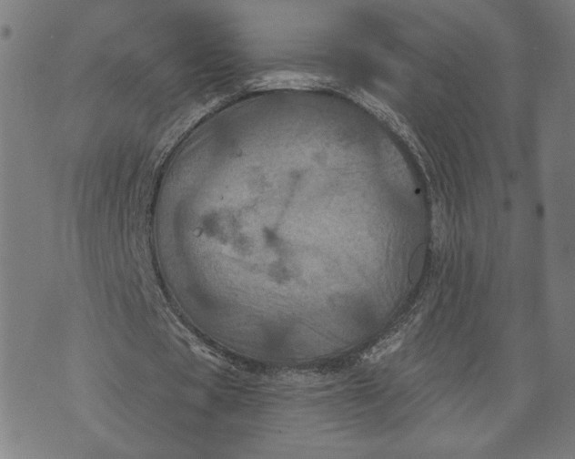 X0000073730529200608241259