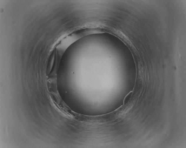 X0000073730530200608241259