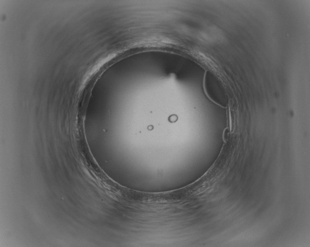 X0000073730531200608241259