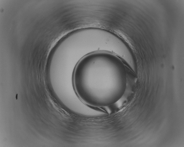 X0000073730532200608241259