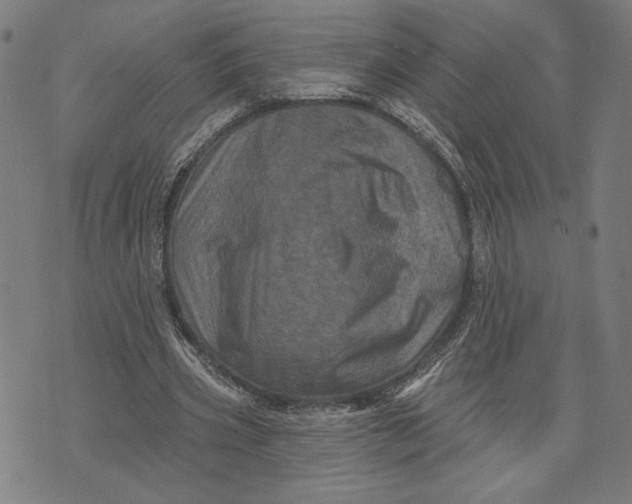 X0000073730533200608241259