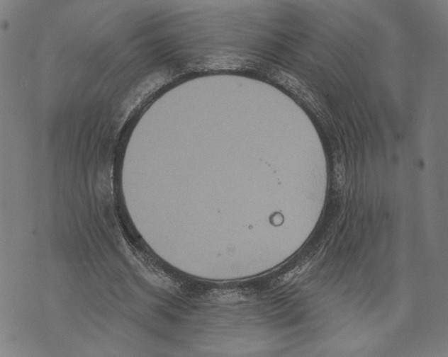 X0000073730534200608241259