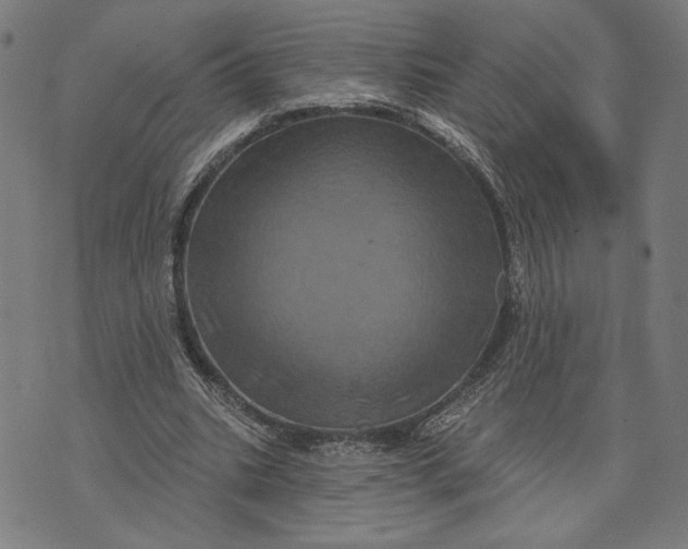 X0000073730535200608241259