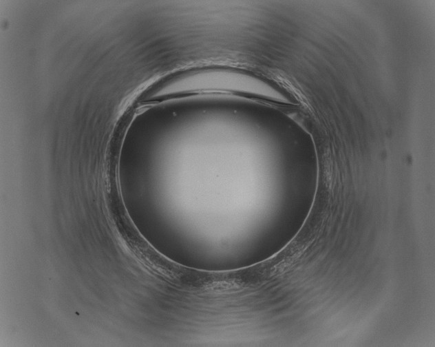 X0000073730536200608241259