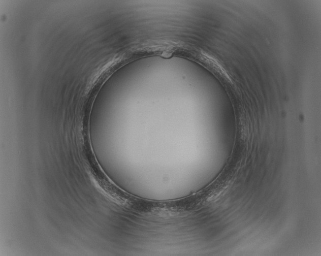 X0000073730538200608241259