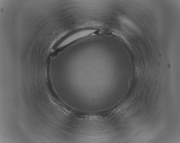 X0000073730539200608241259