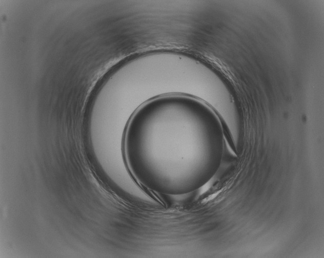 X0000073730540200608241259