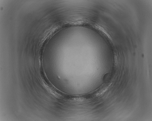 X0000073730541200608241259