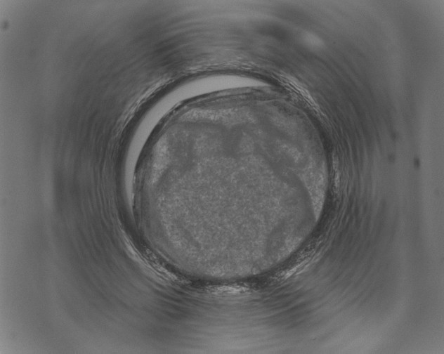 X0000073730542200608241259