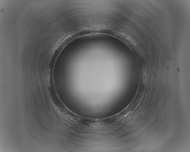 X0000073730544200608241259