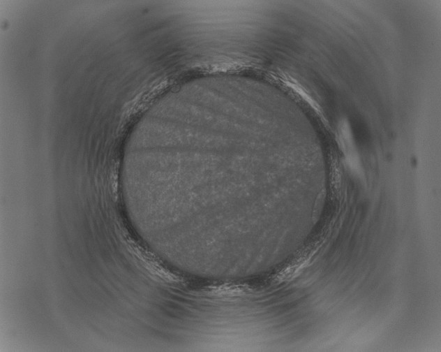 X0000073730545200608241259