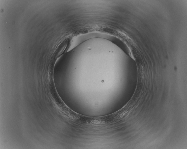 X0000073730546200608241259