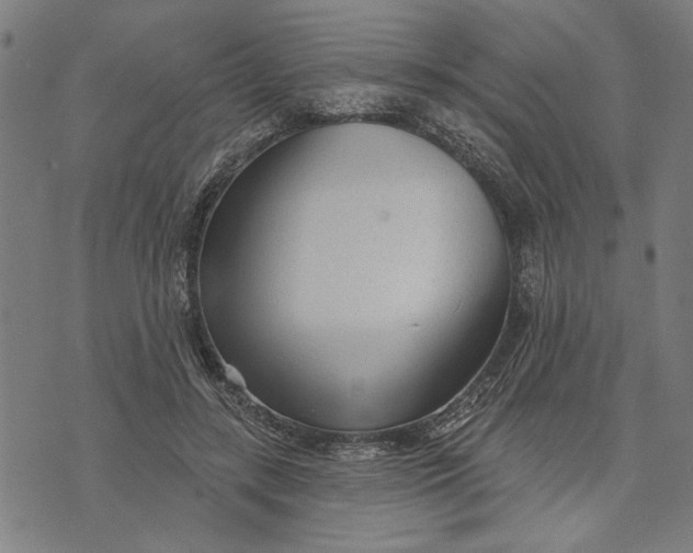 X0000073730547200608241259