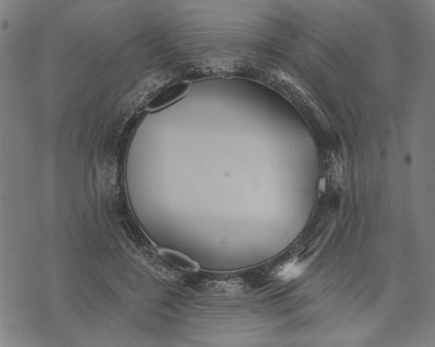 X0000073730548200608241259