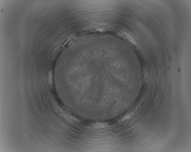 X0000073730549200608241259