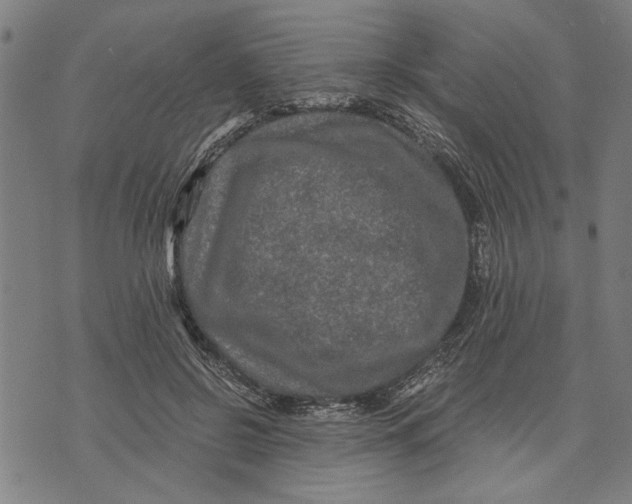 X0000073730550200608241259