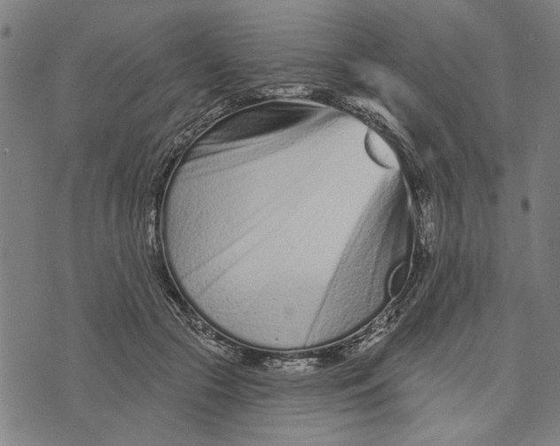 X0000073730553200608241259