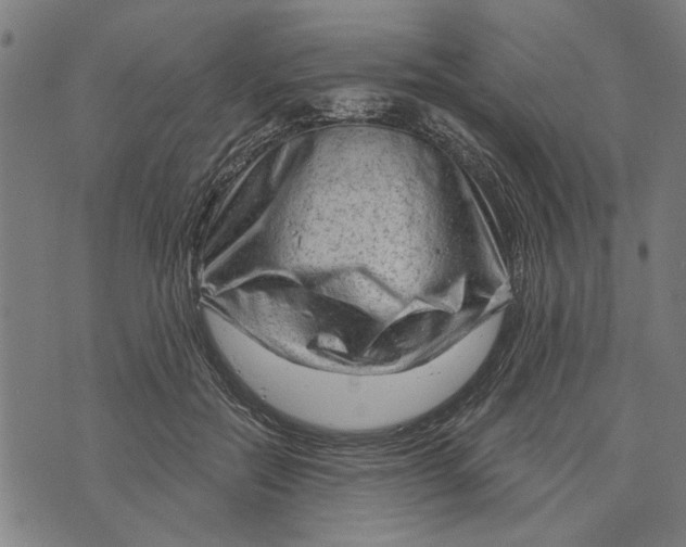 X0000073730554200608241259