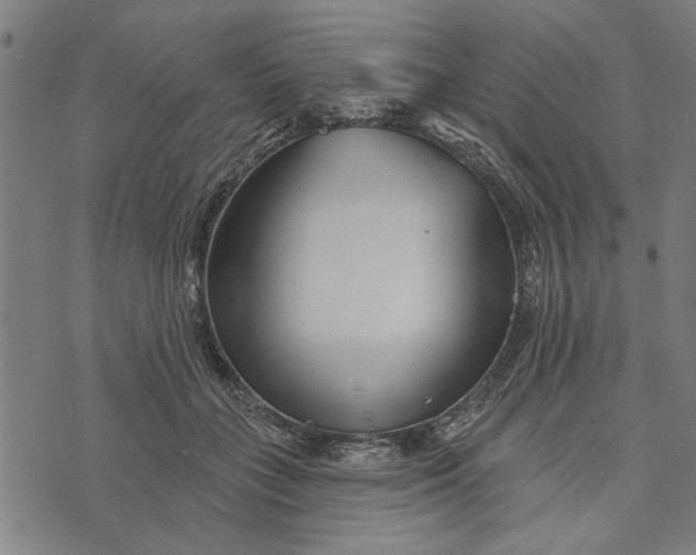 X0000073730555200608241259