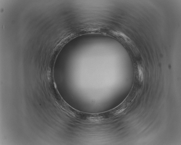 X0000073730556200608241259