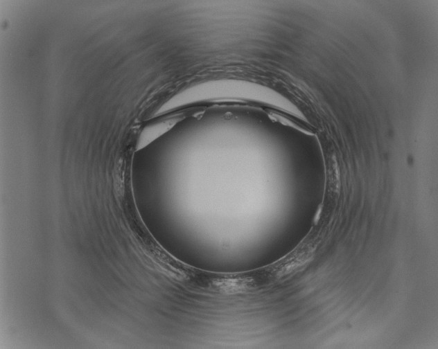 X0000073730558200608241259