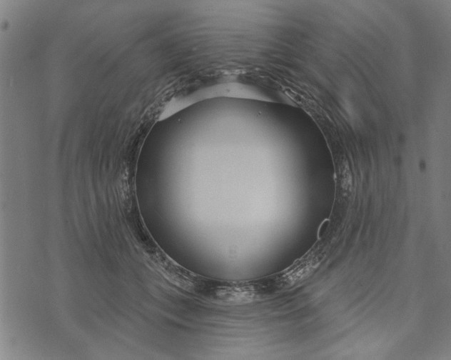 X0000073730559200608241259