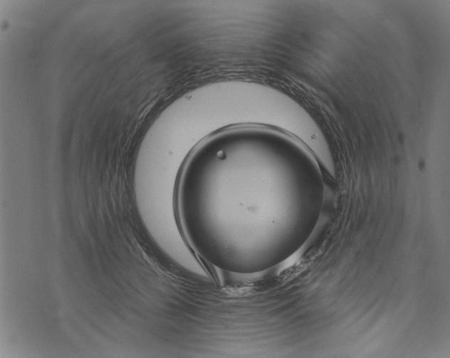 X0000073730560200608241259