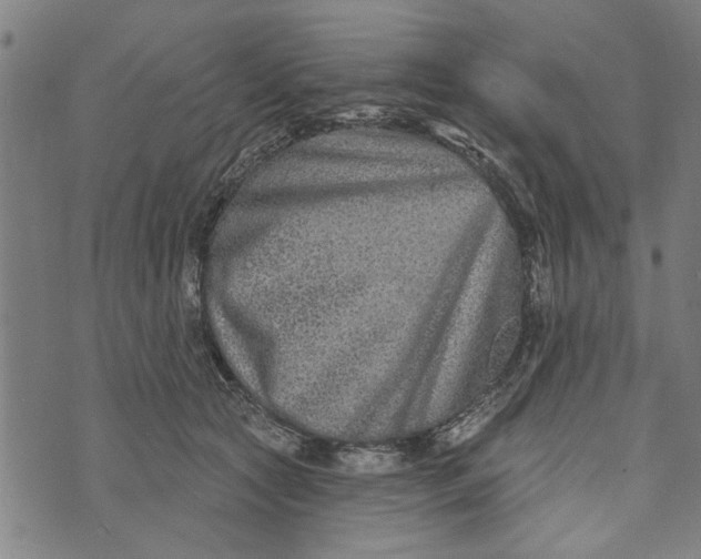 X0000073730561200608241259