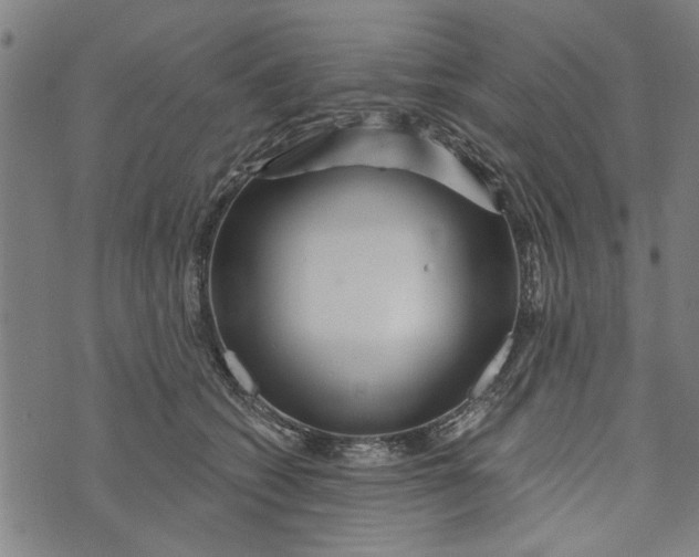 X0000073730562200608241300