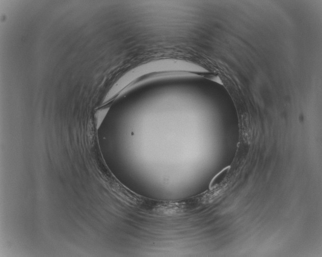 X0000073730563200608241300