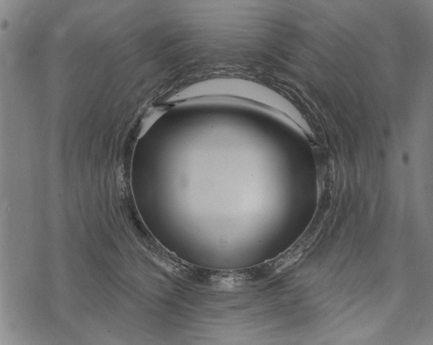 X0000073730564200608241300