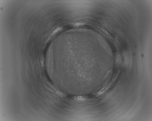 X0000073730565200608241300