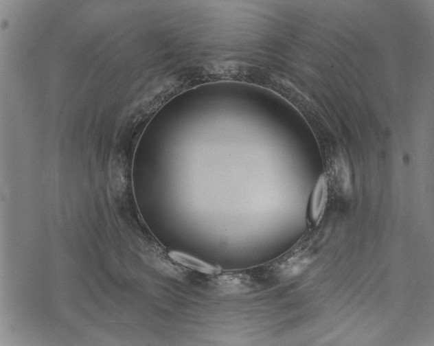 X0000073730566200608241300