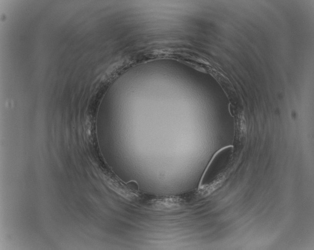 X0000073730567200608241300