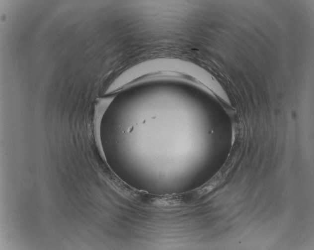 X0000073730568200608241300