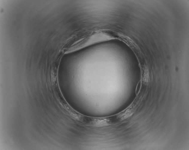 X0000073730569200608241300