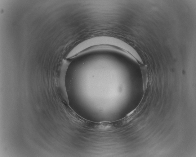 X0000073730570200608241300