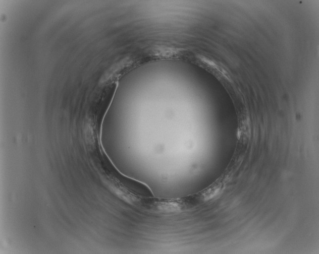 X0000073730572200608241300