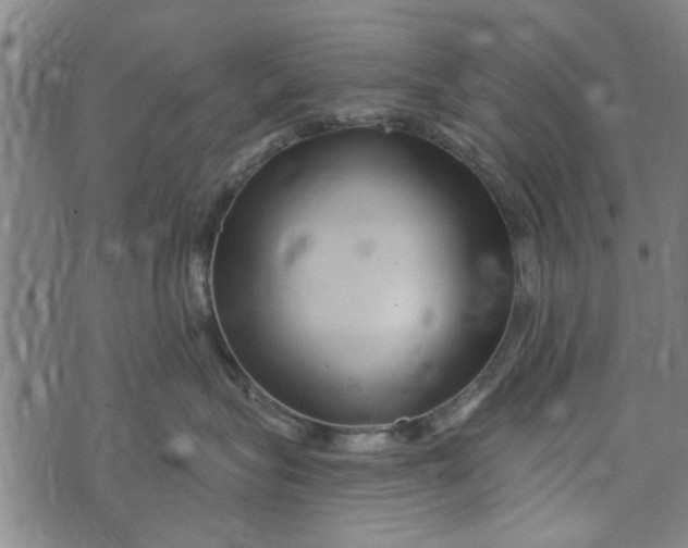 X0000073730575200608241300