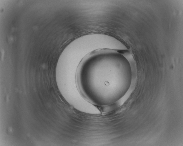 X0000073730576200608241300