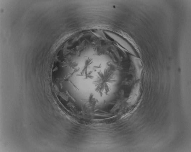 X0000073730577200608241259