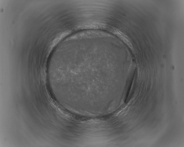 X0000073730578200608241259