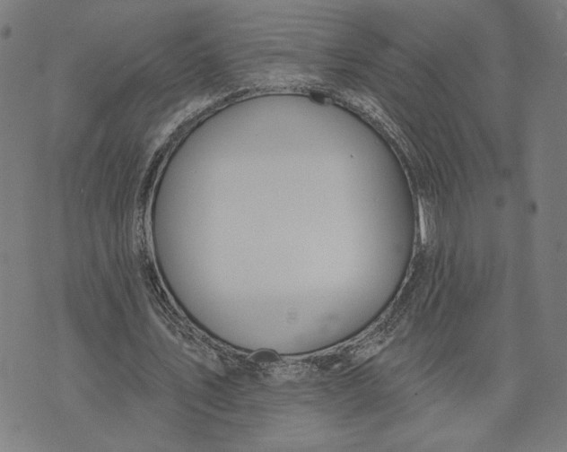 X0000073730579200608241259