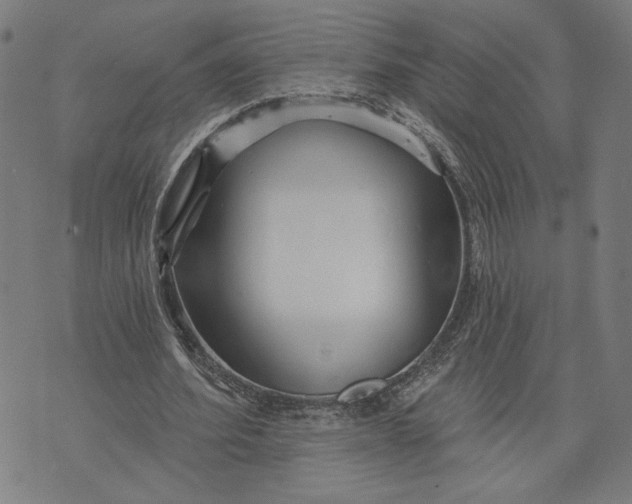 X0000073730580200608241259