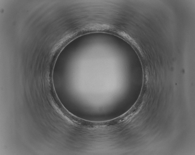 X0000073730581200608241259