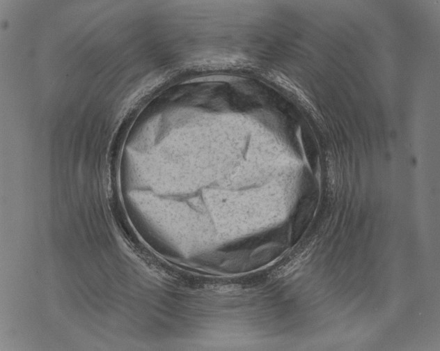 X0000073730582200608241259