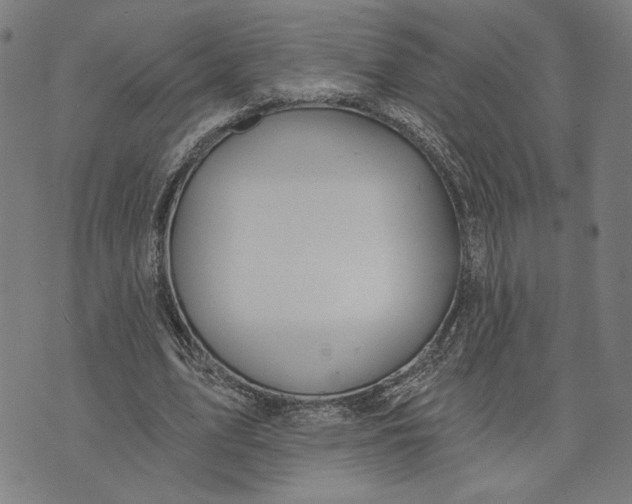 X0000073730583200608241259