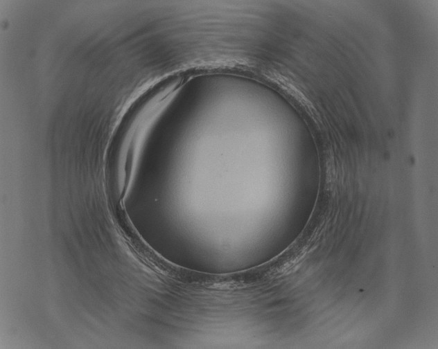 X0000073730584200608241259