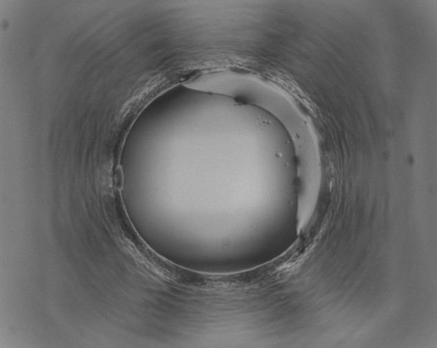 X0000073730585200608241259