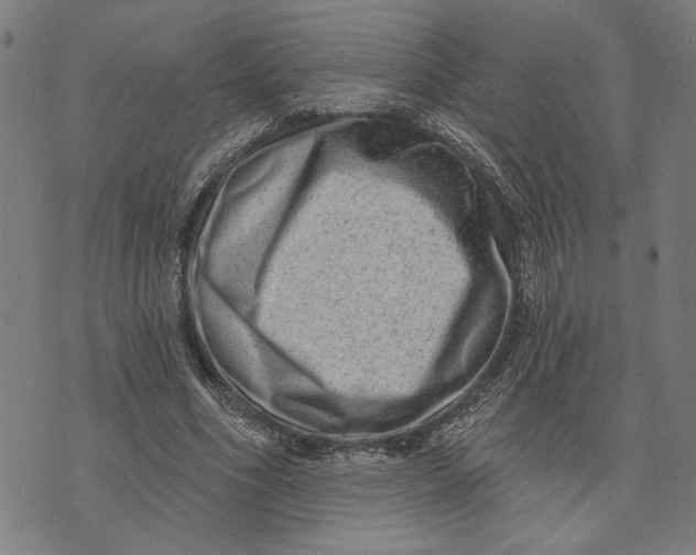 X0000073730586200608241259